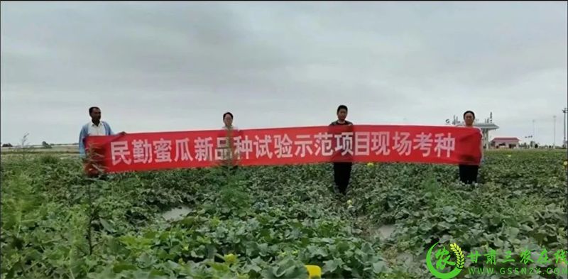 微信图片_20250727102800.jpg
