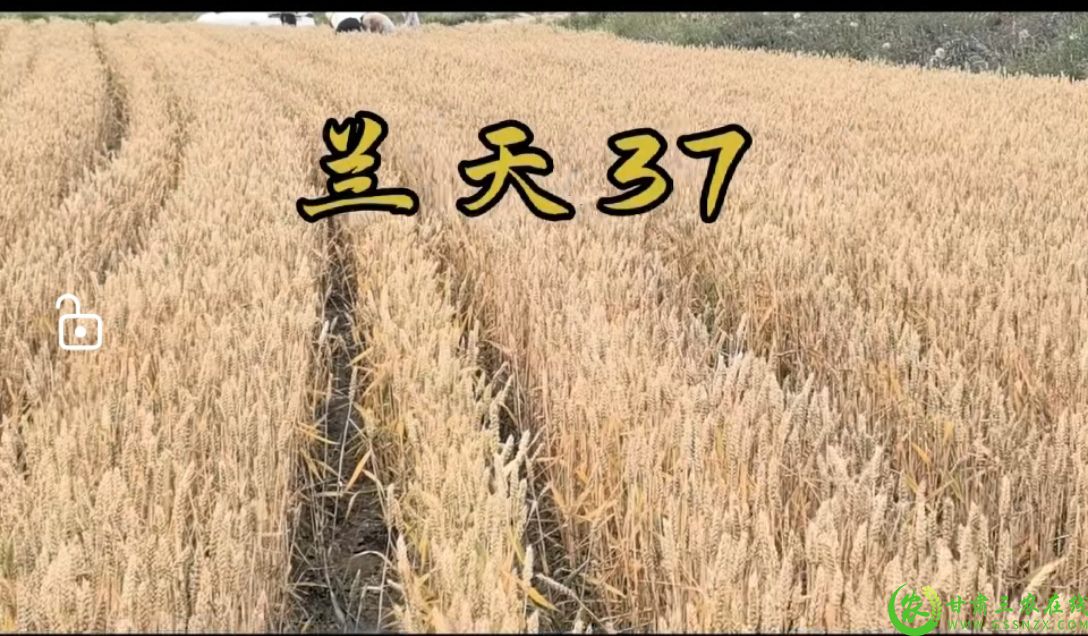 微信图片_20250628100310.jpg