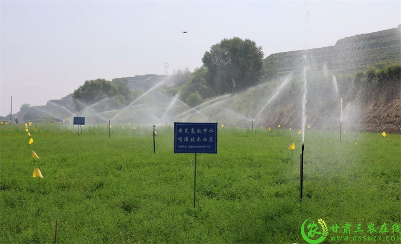 微信图片_20250803182523.png