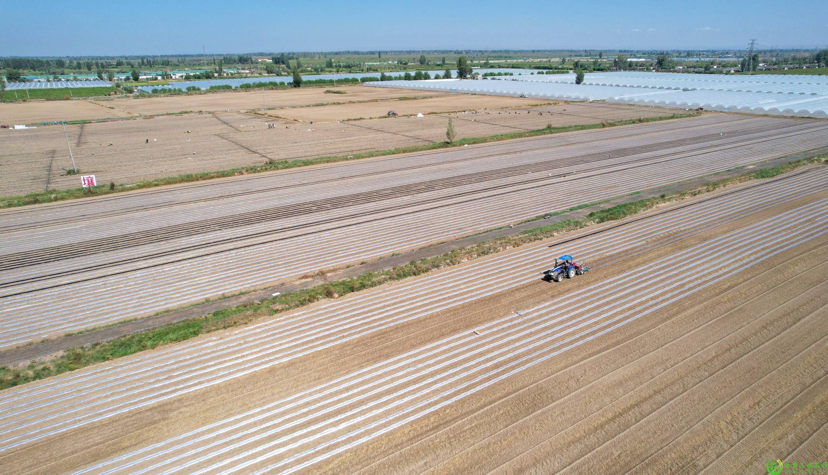 DJI_0238(1).jpg