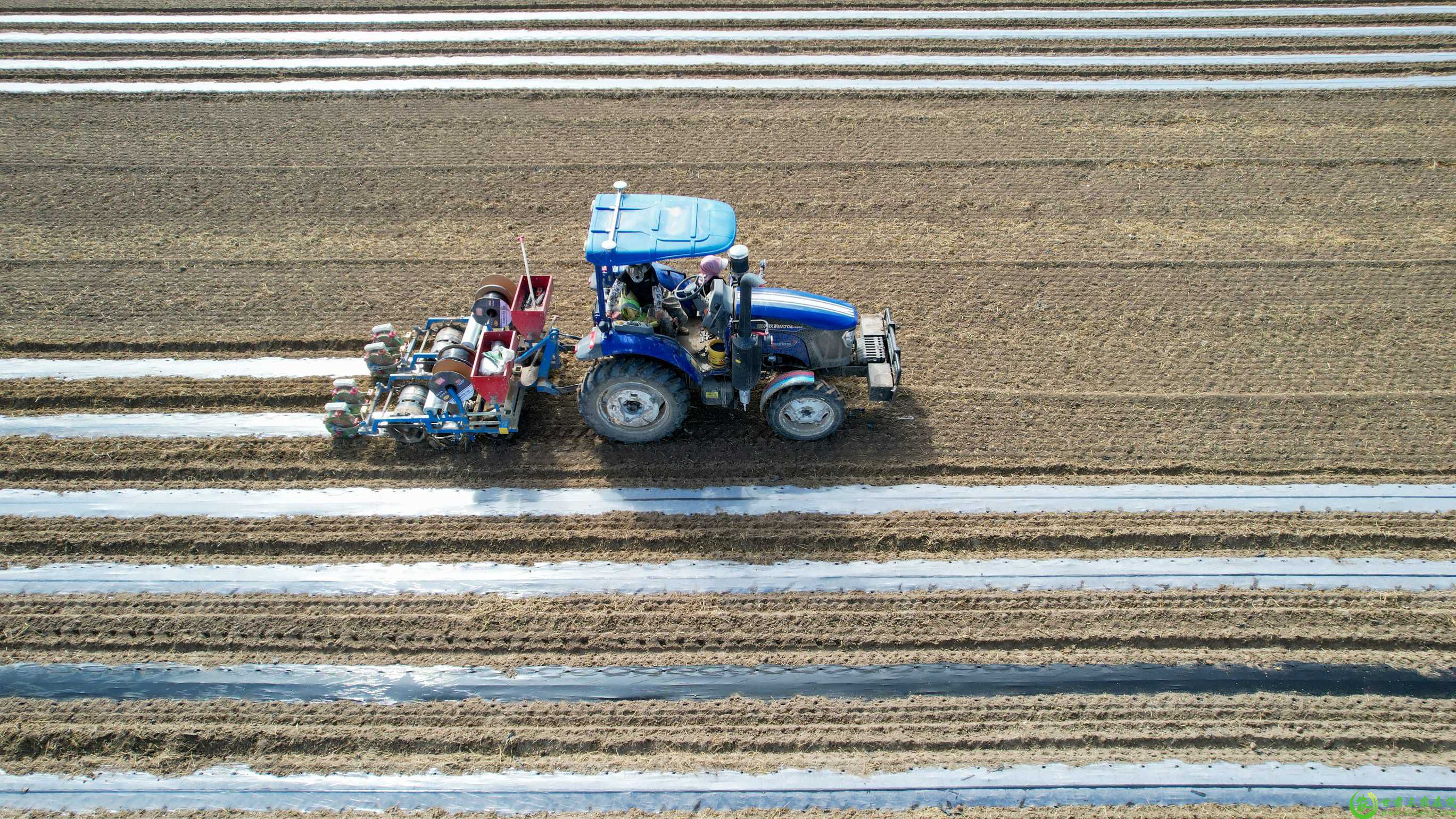 DJI_0198(1).jpg