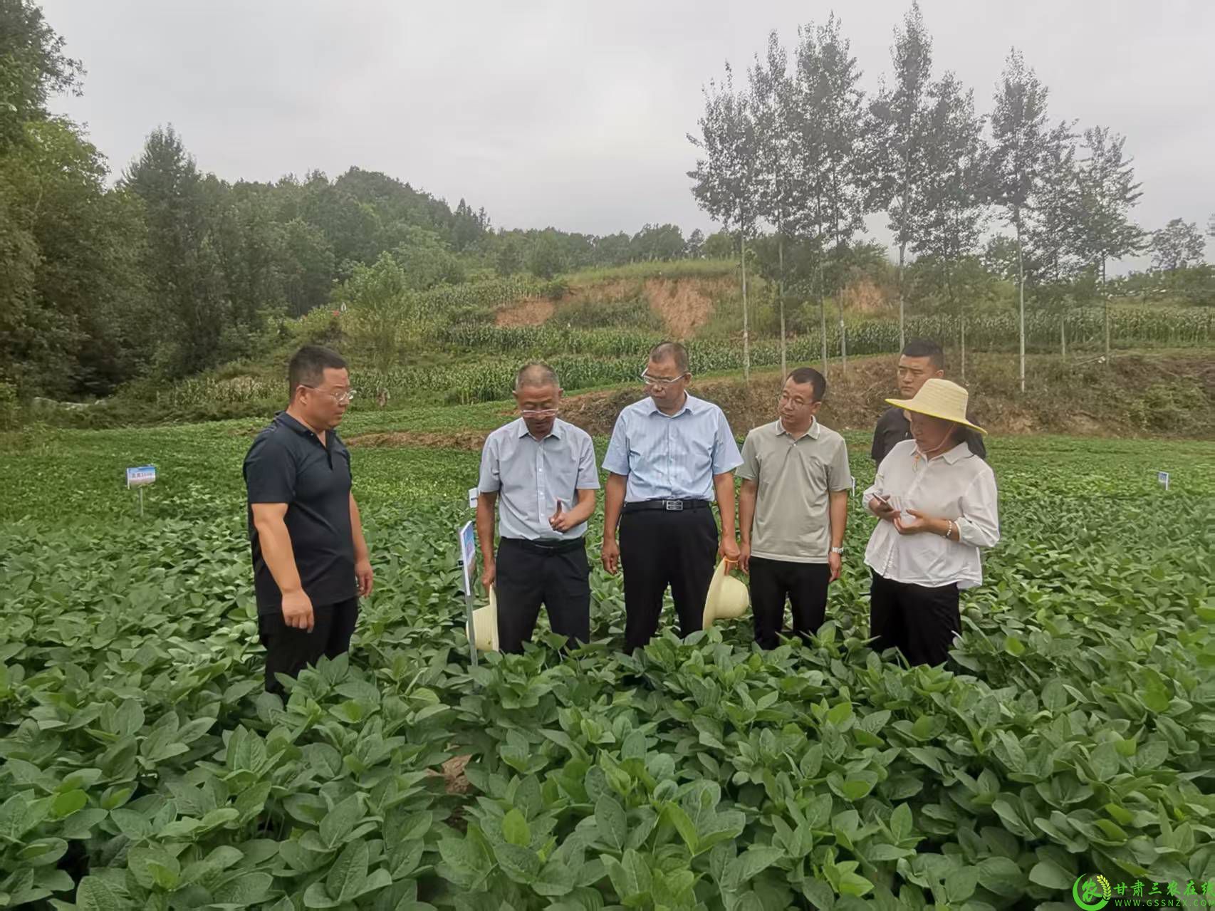 微信图片_20250807170529.jpg