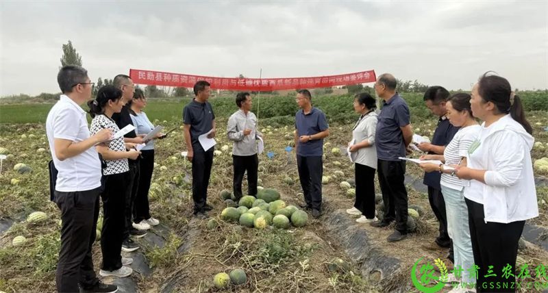 微信图片_2025-08-13_134012_359.jpg