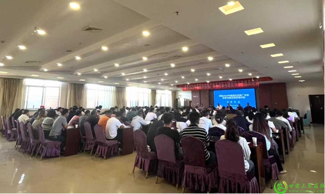 图片1(1).png