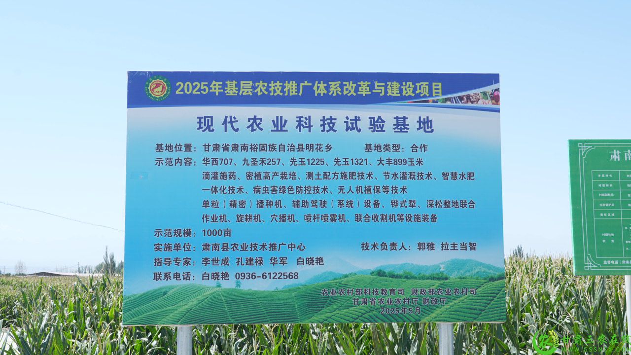 C1353T01.JPG