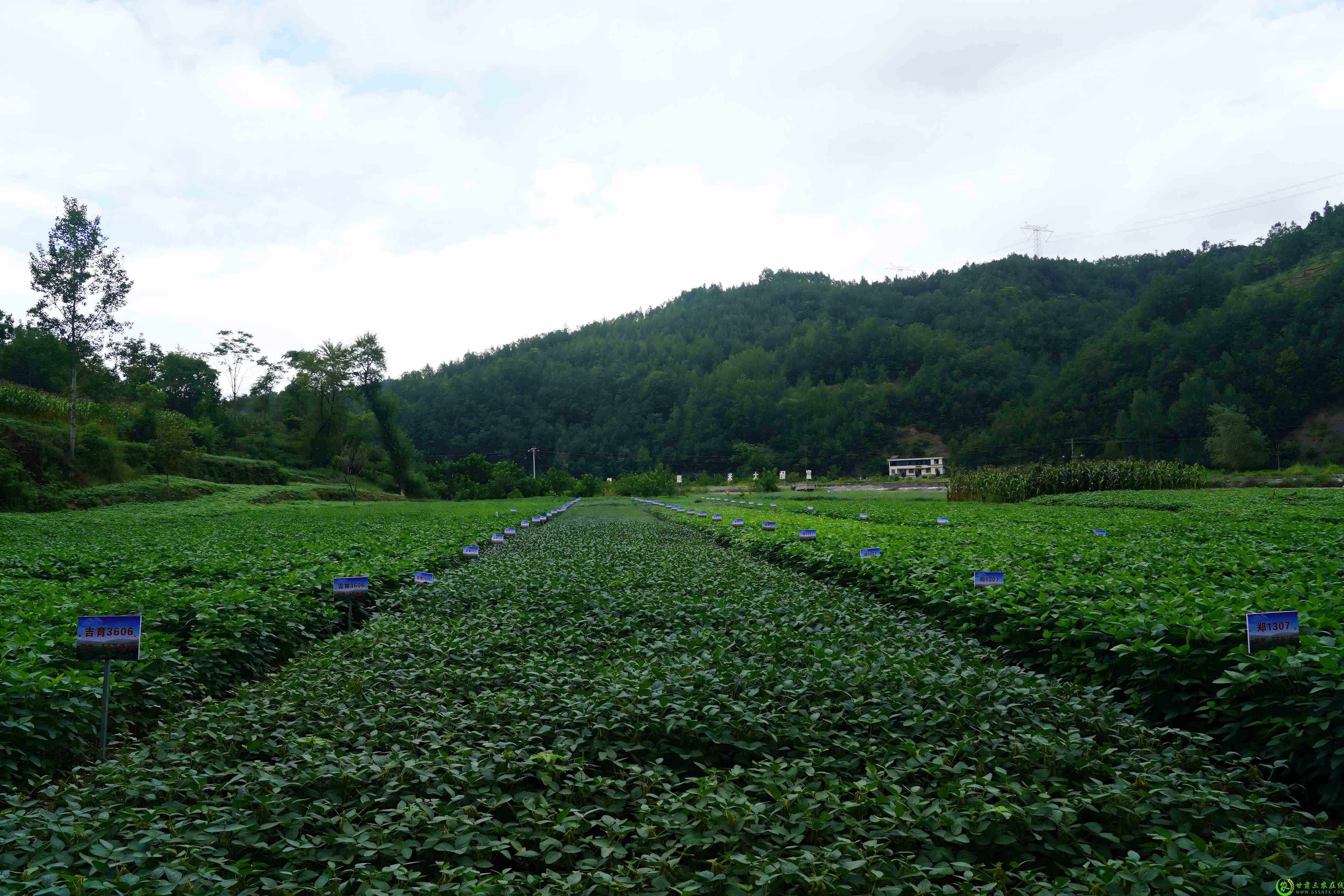 DSC04351(1).jpg