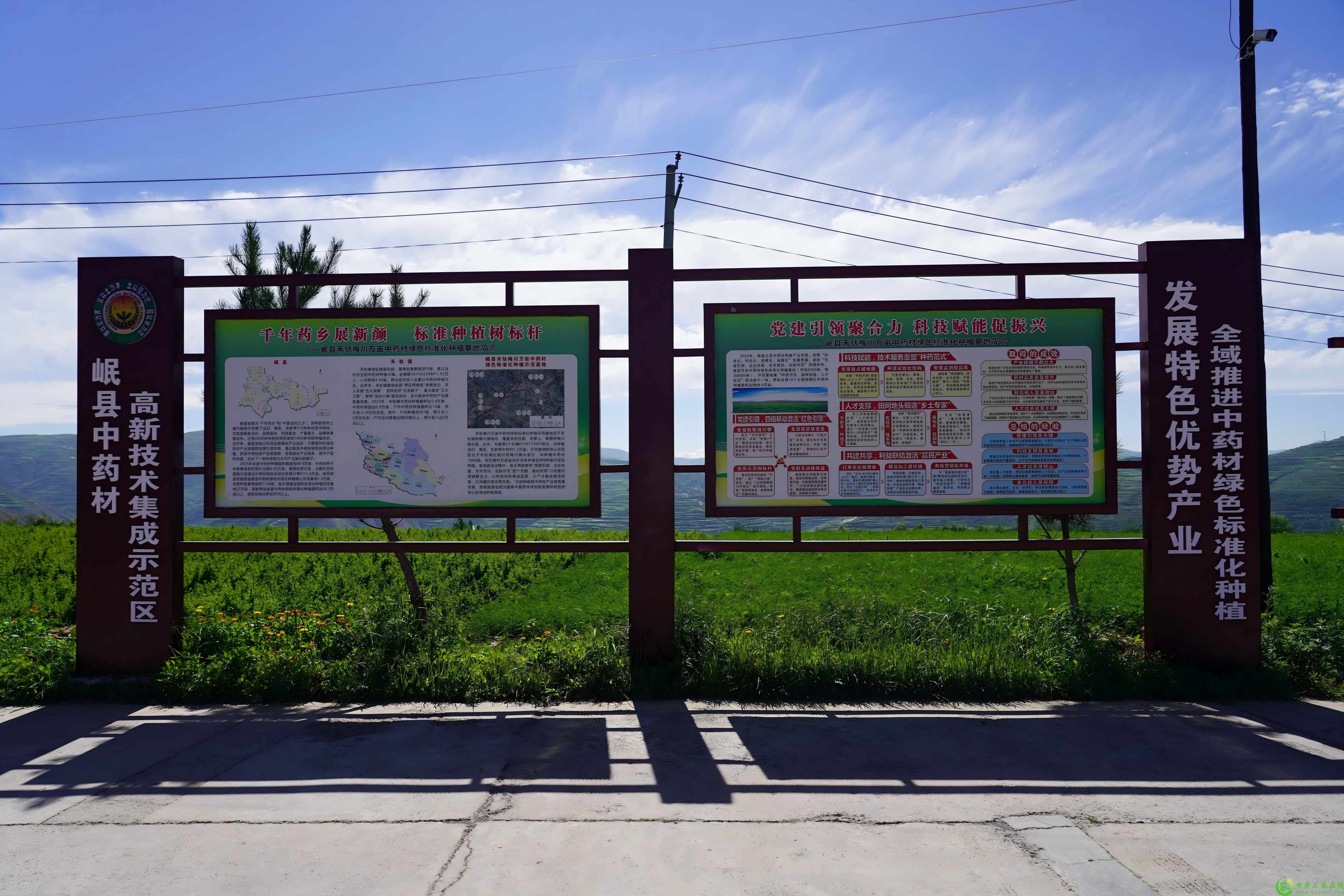 DSC04192(1).jpg