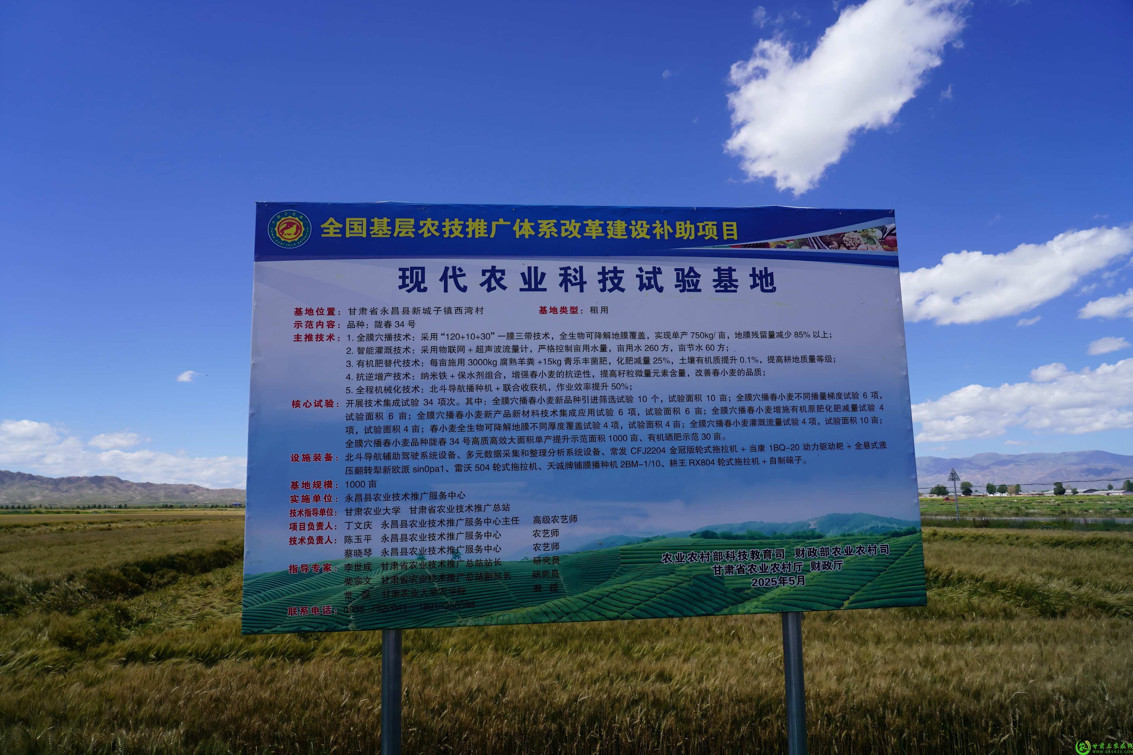 DSC04387(1).jpg
