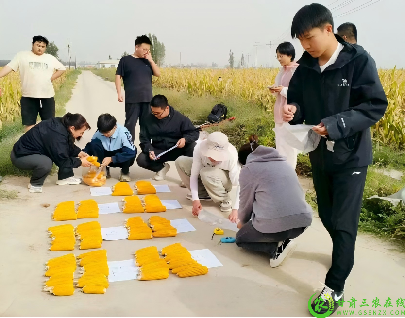 图片5(1).png