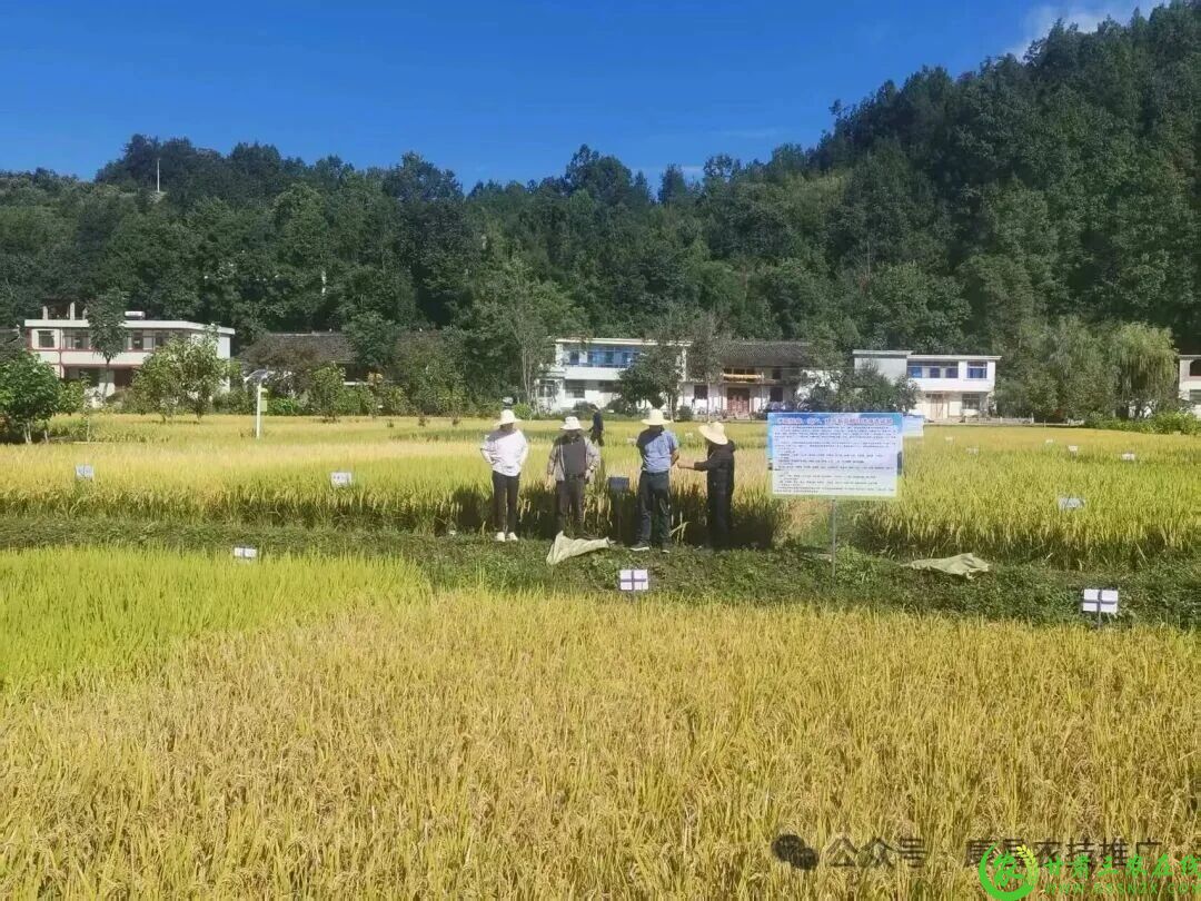 微信图片_2025-09-29_093635_264.jpg