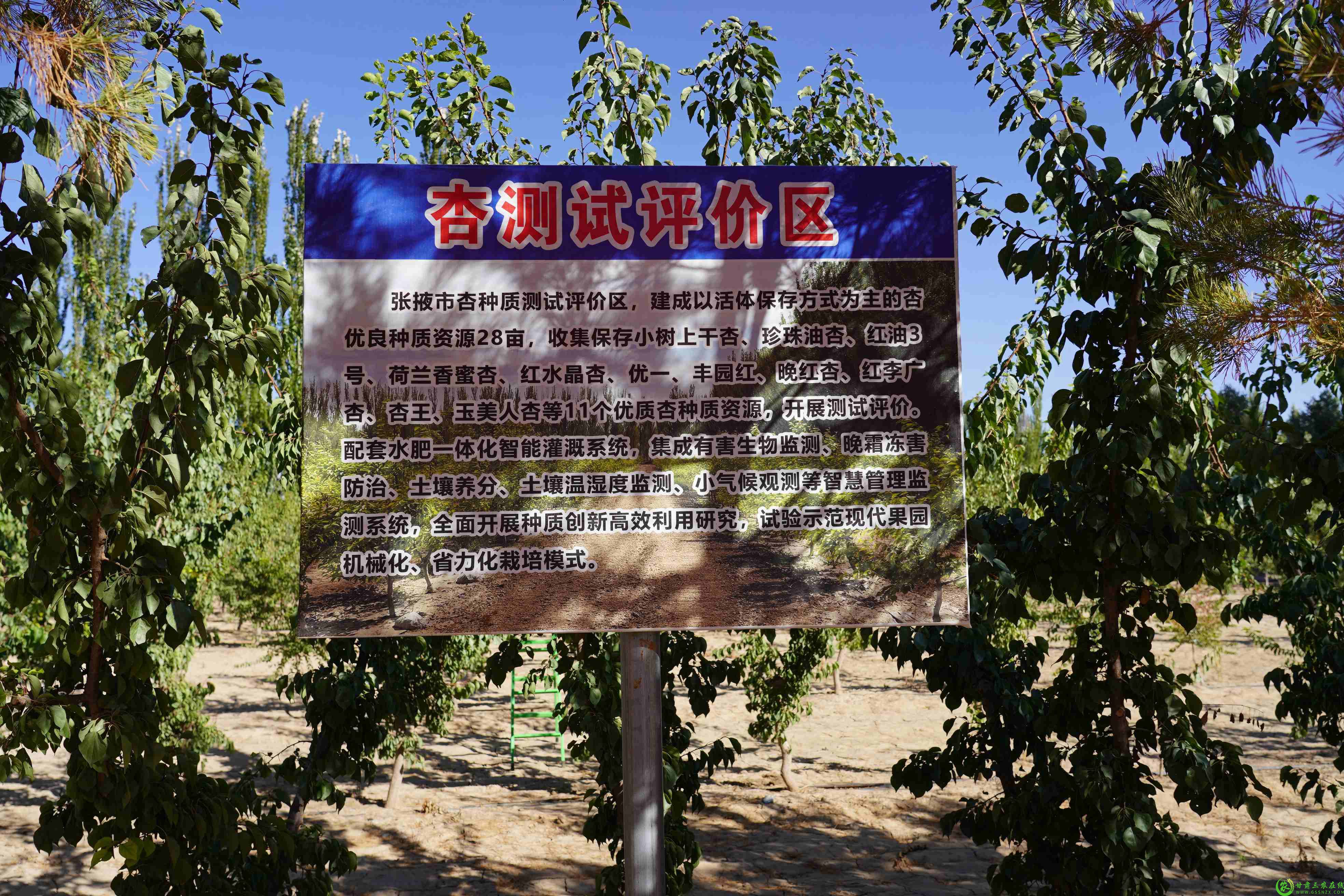 DSC05564(1).jpg