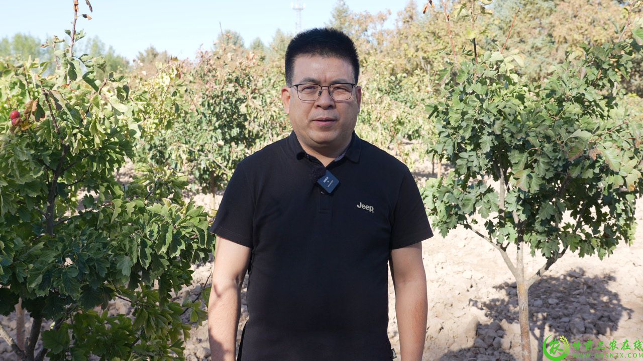 C2415T01.JPG