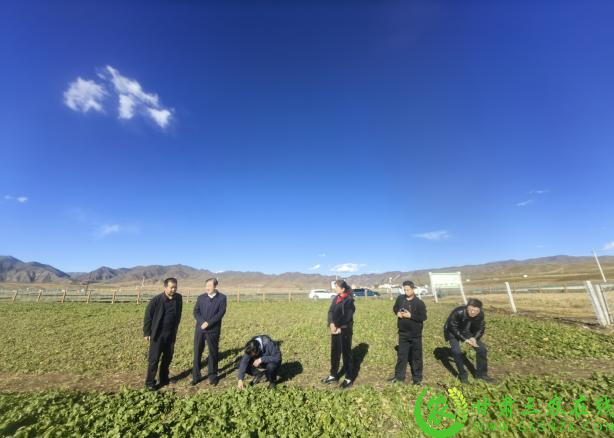 图片1(1).png