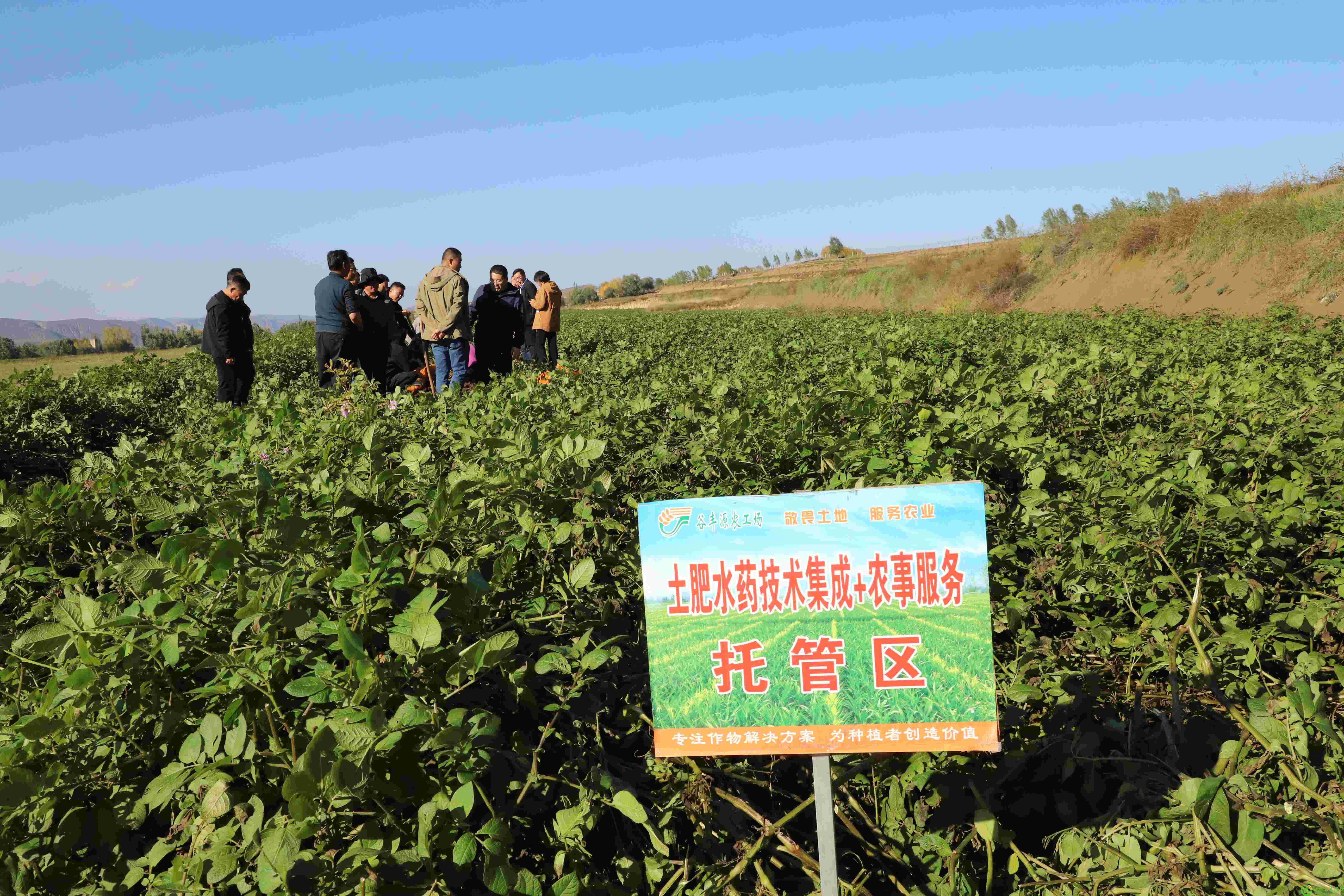 微信图片_20251014140310_130_28(1).jpg