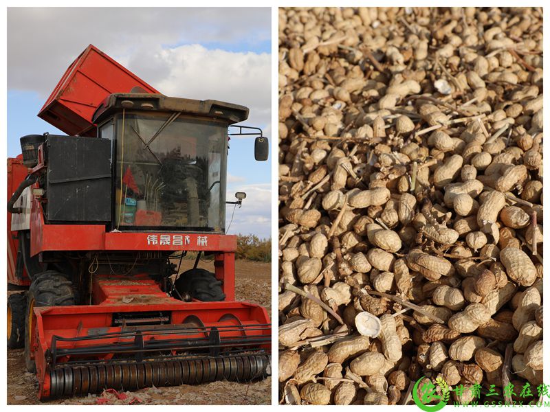 W020251017311071685871 (1).jpg