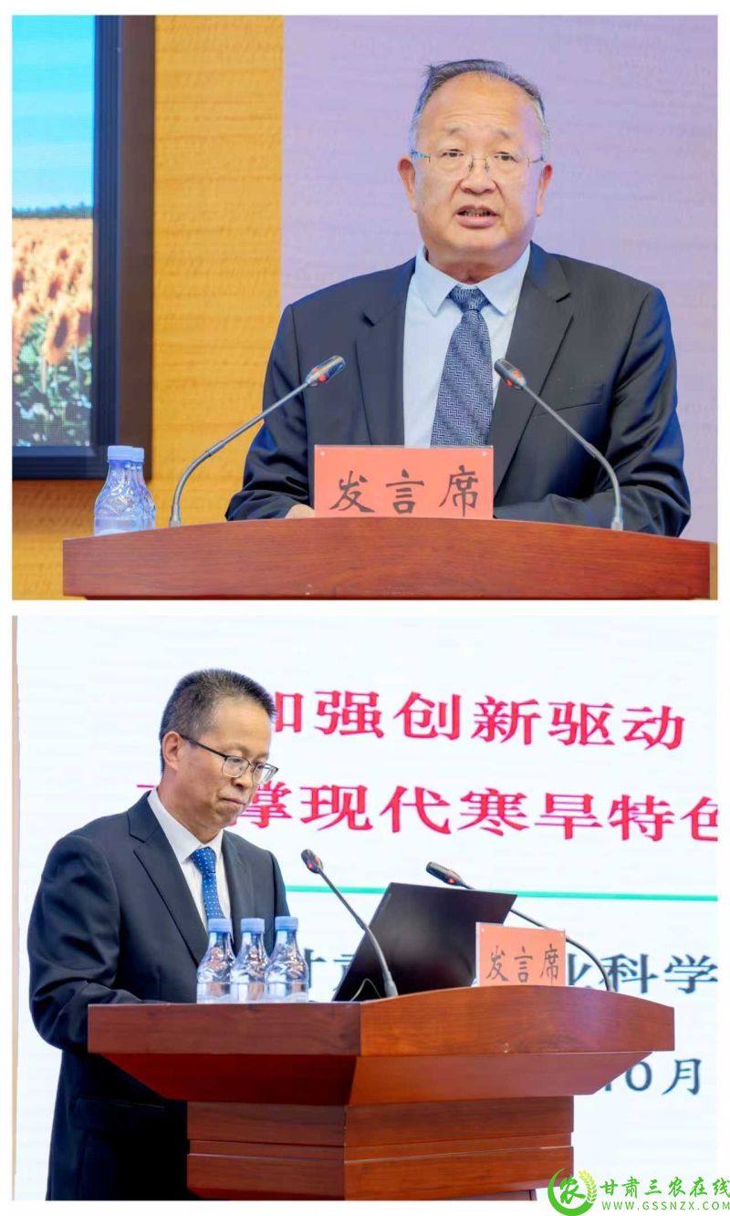 C984A874E027E4EBFE174C7EB3D_3CFBC971_81E81 (1).jpg