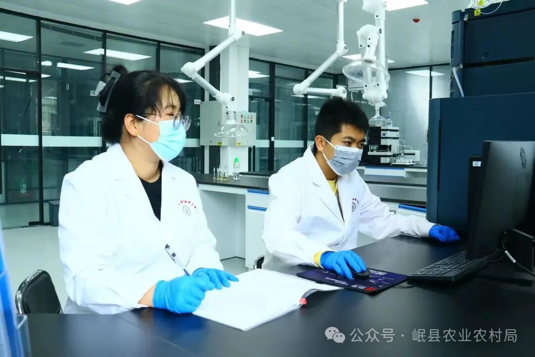 定西岷归高质量发展密码：以科研为锚，筑牢产业根基_fororder_dedf0029f359ac83302735fb737bae35