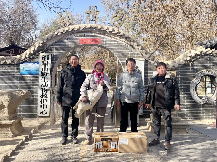 图片3  大天鹅移交至酒泉市野生动物救护中心.png