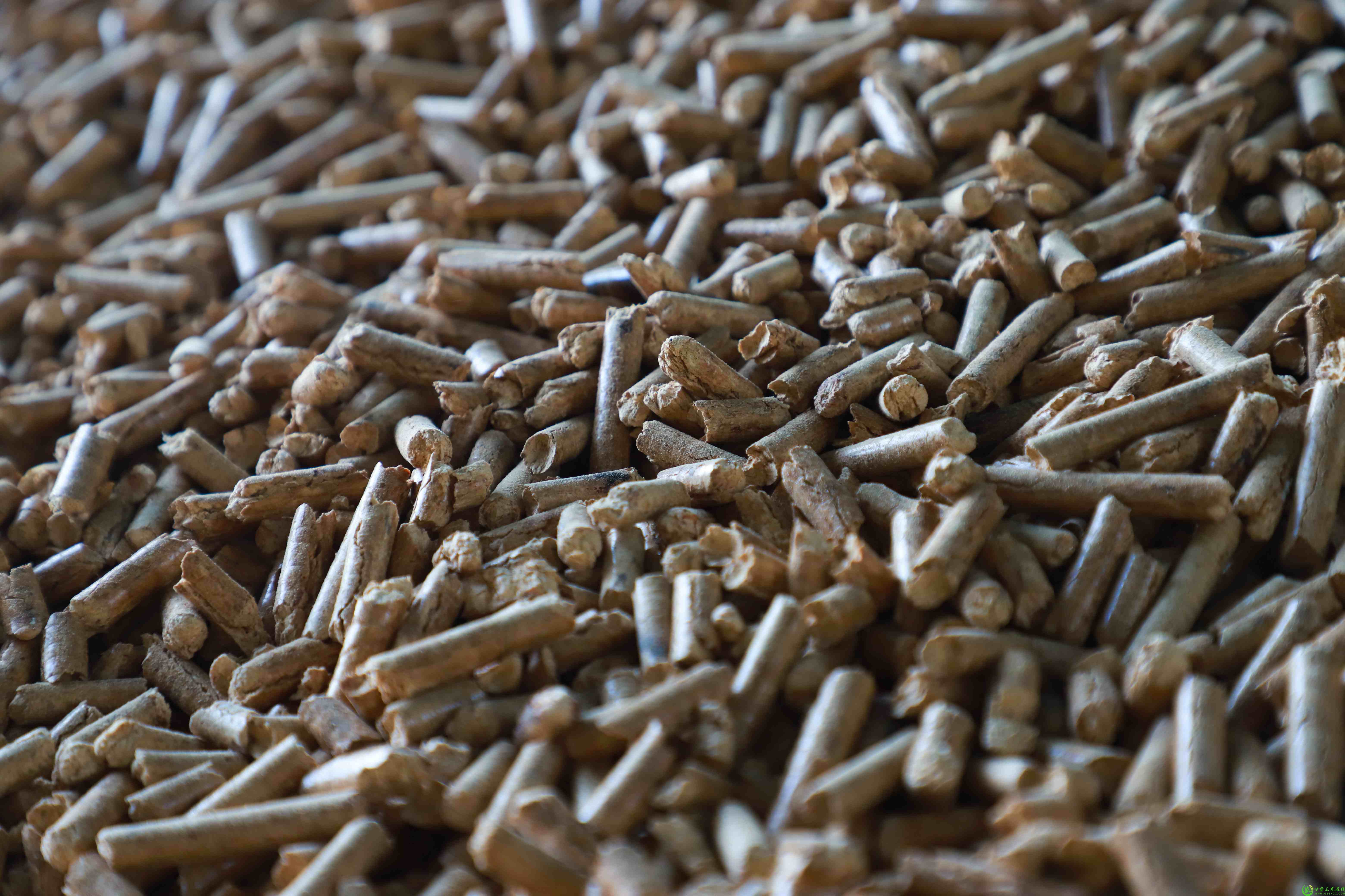 b44a718c-ed20-4604-a5fc-0b8ab37e9d1d (2).jpg