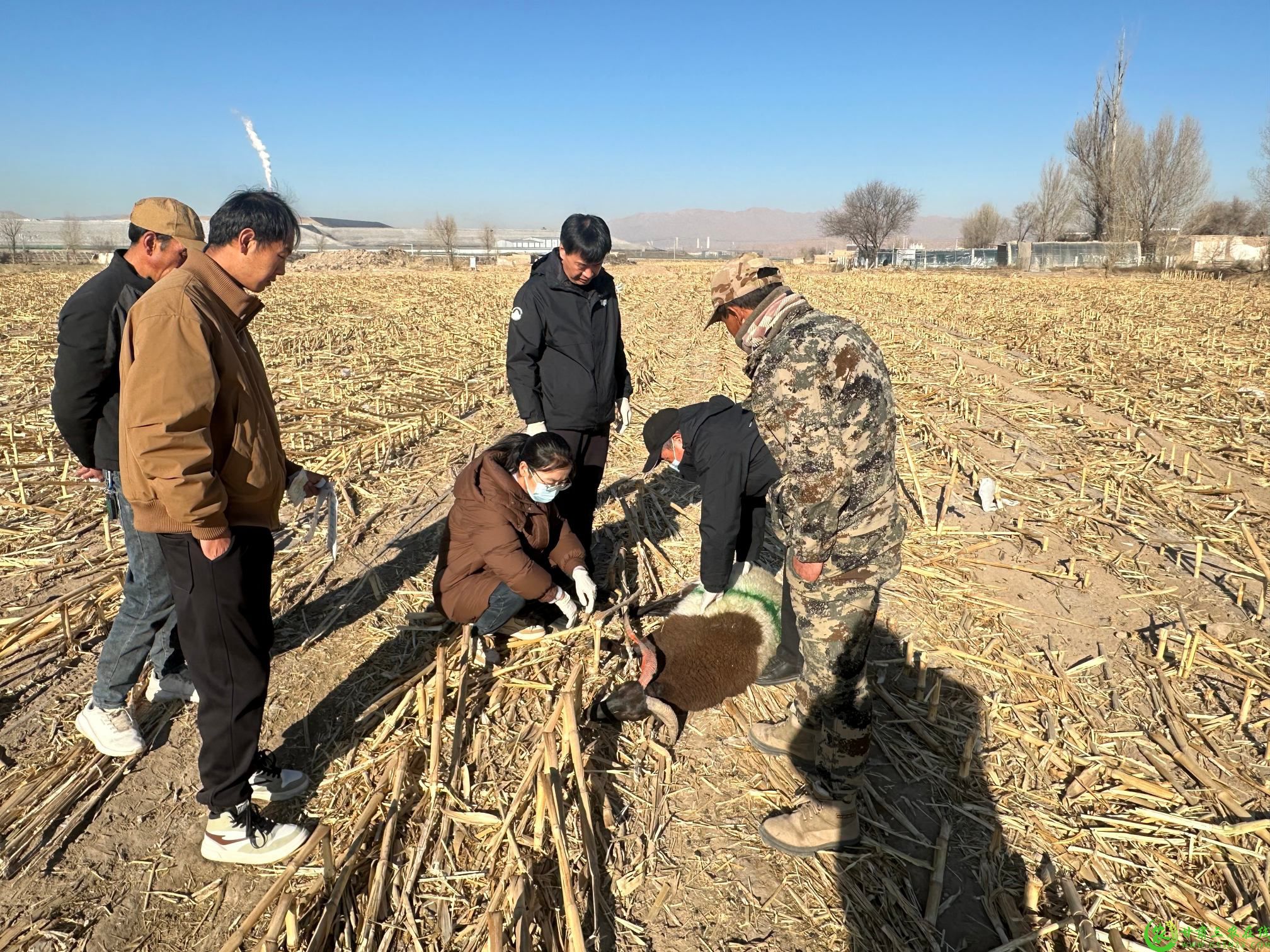 走访异地借牧 护航健康养殖1.jpg