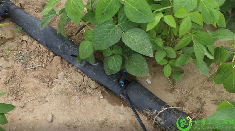 平川区培训班 (14).jpg