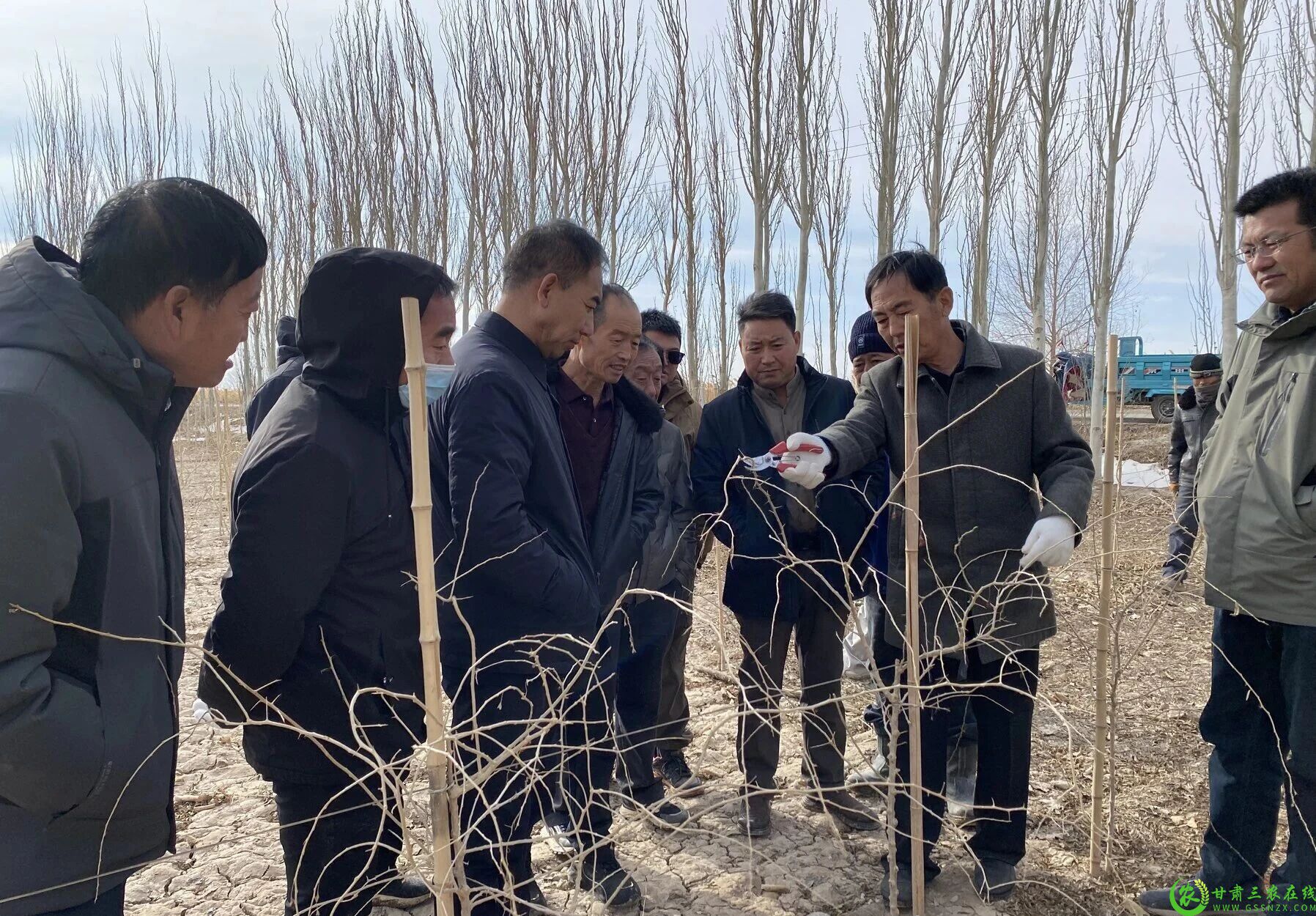 图片1  瓜州县组织专家团队深入主要枸杞产区现场指导枸杞修剪工作1.jpg