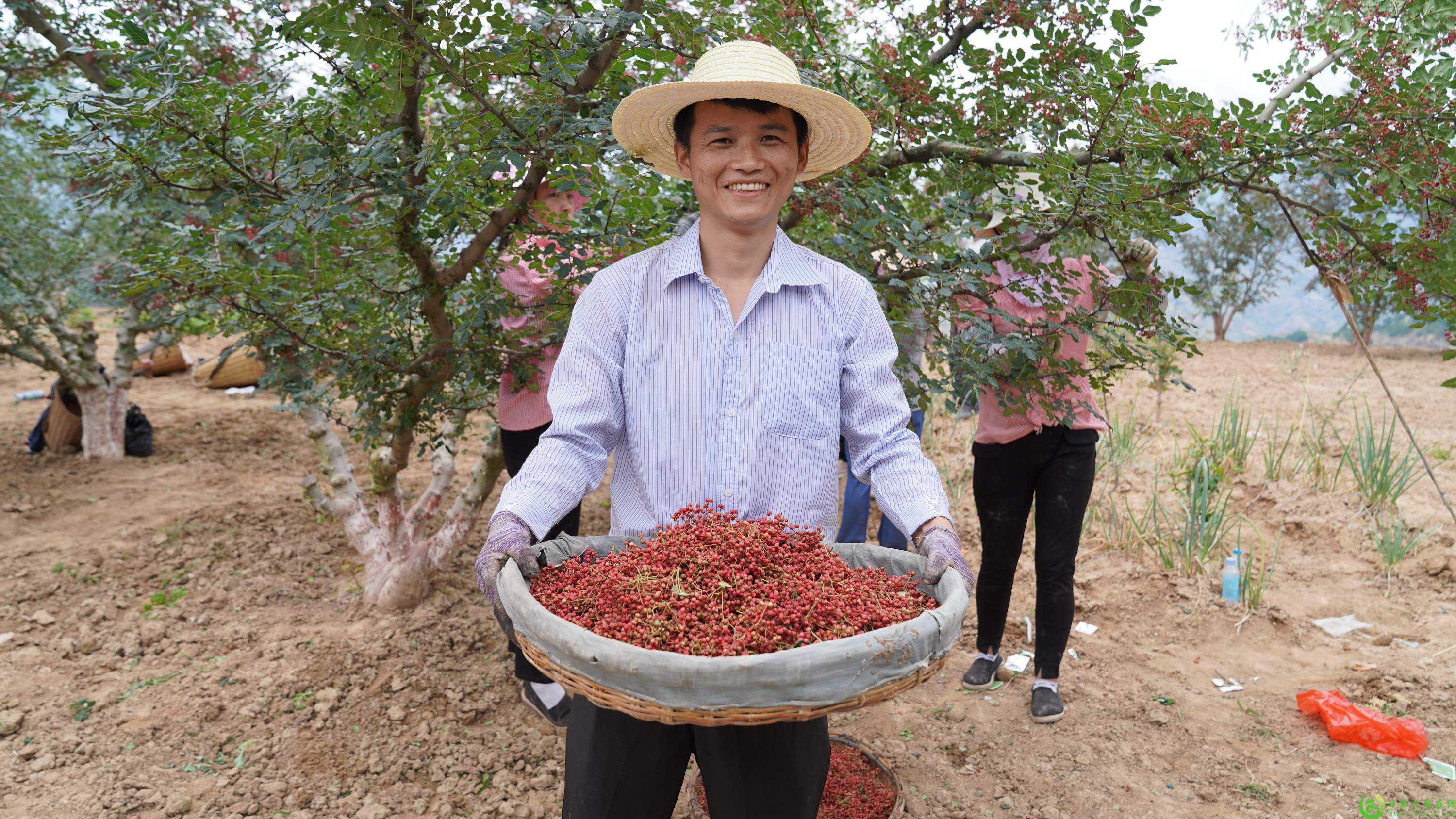 GetAttachment (5)(1).jpg