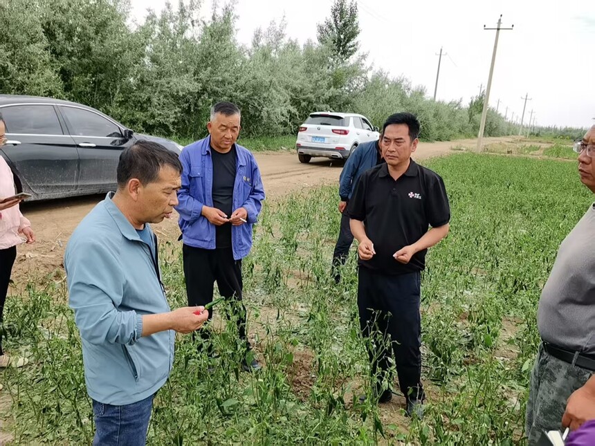 1751334226588516.jpg 微信图片_202507010941231.jpg