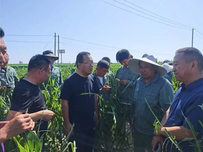 1751334277347503.jpg 微信图片_202507010941211.jpg