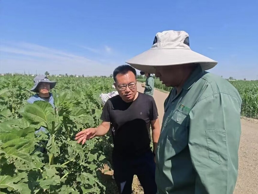 1751334290631786.jpg 微信图片_20250701094120.jpg