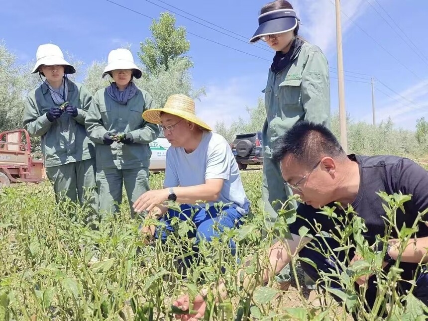 1751334323432463.jpg 微信图片_202507010941201.jpg