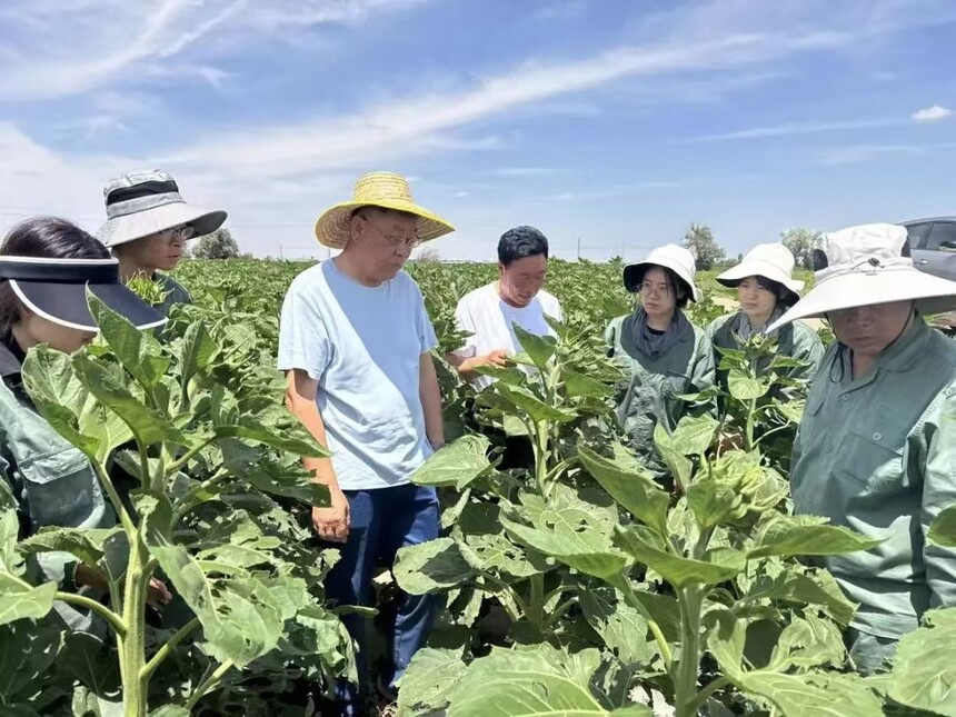 1751334346793694.jpg 微信图片_20250701094118.jpg