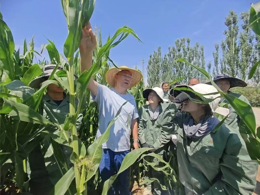 1751334358586760.jpg 微信图片_202507010941181.jpg