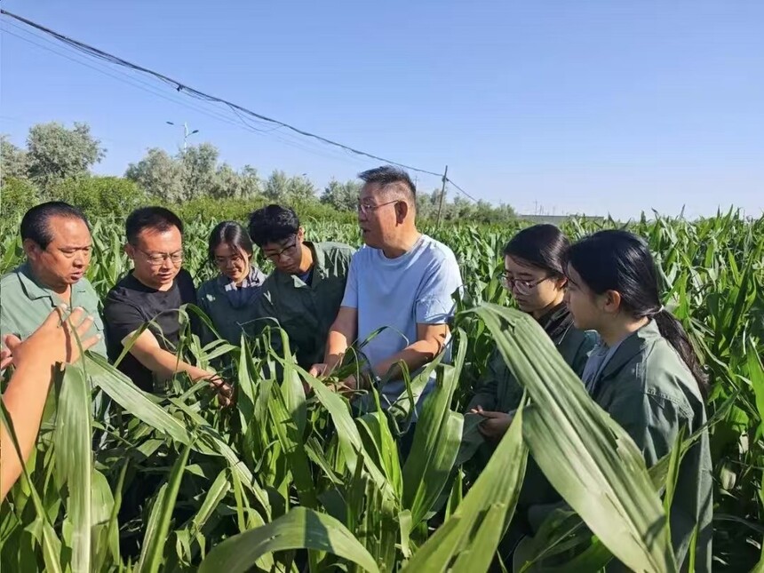 1751334391944688.jpg 微信图片_20250701094117.jpg