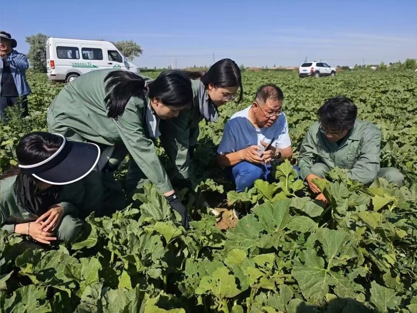 1751334402362574.jpg 微信图片_202507010941171.jpg