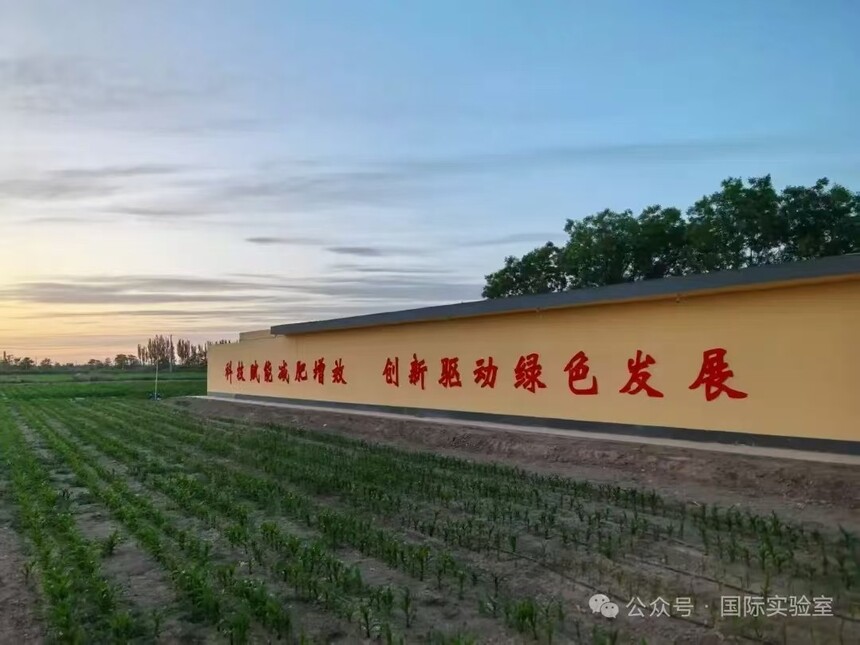 1751335035288788.jpg 微信图片_202507010953411.jpg