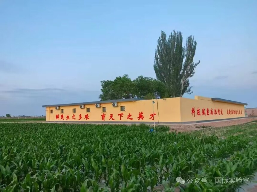 1751335061837519.jpg 微信图片_202507010953401.jpg