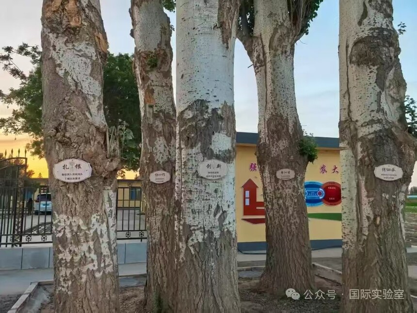 1751335120307402.jpg 微信图片_202507010953392.jpg