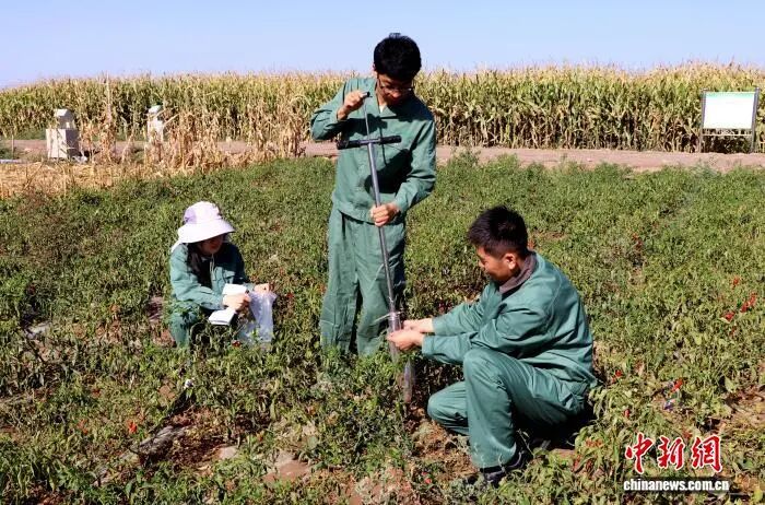 1759050320623022.jpg 微信图片_2025-09-28_170439_065.jpg