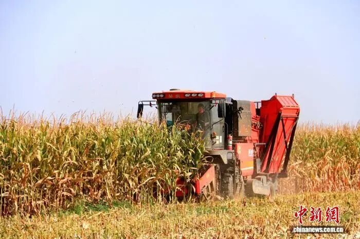 1759050308142419.jpg 微信图片_2025-09-28_170435_370.jpg