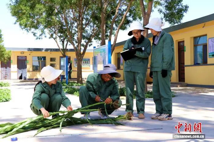 1759050288232200.jpg 微信图片_2025-09-28_170427_513.jpg