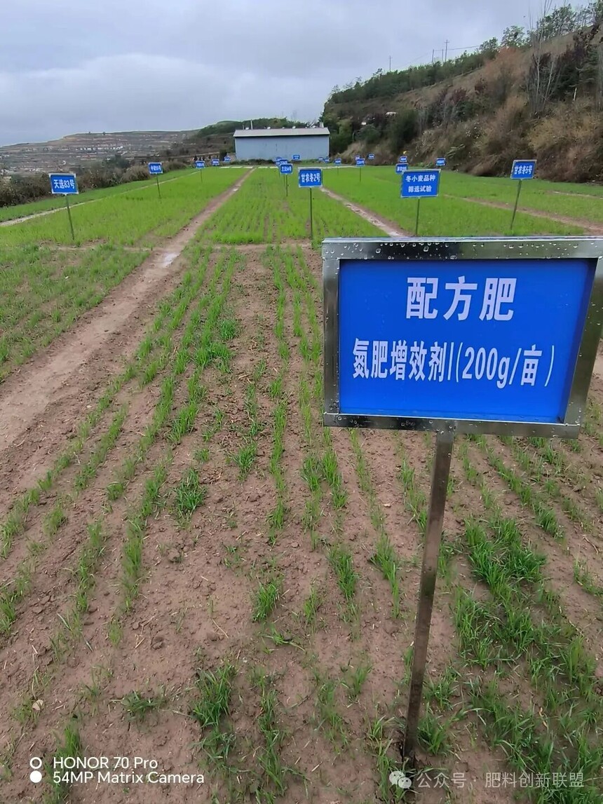 1761449614765348.jpg 微信图片_2025-10-26_113135_573.jpg