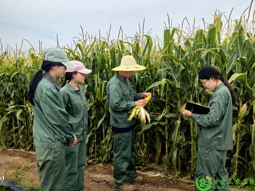 1760144796278074.jpg 413279_bea227c4-ac0b-4e39-9509-24141049b26c.jpg