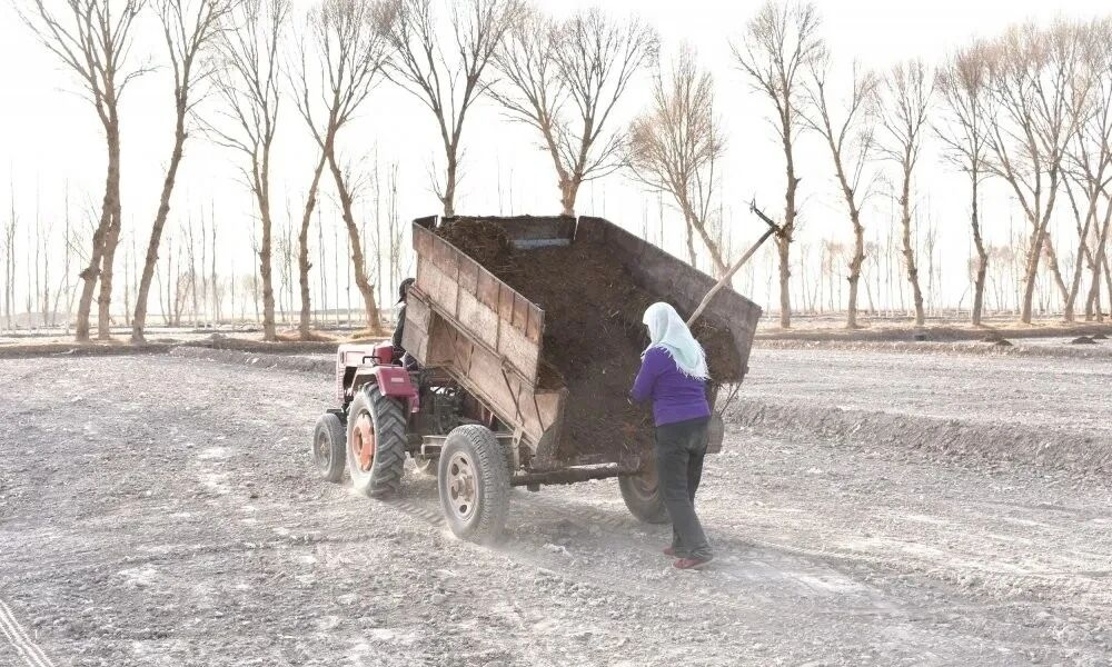 布隆吉乡积极探索生态循环农业模式,鼓励农户对畜禽粪便进行收集、堆沤发酵,制成优质农家肥还田.png