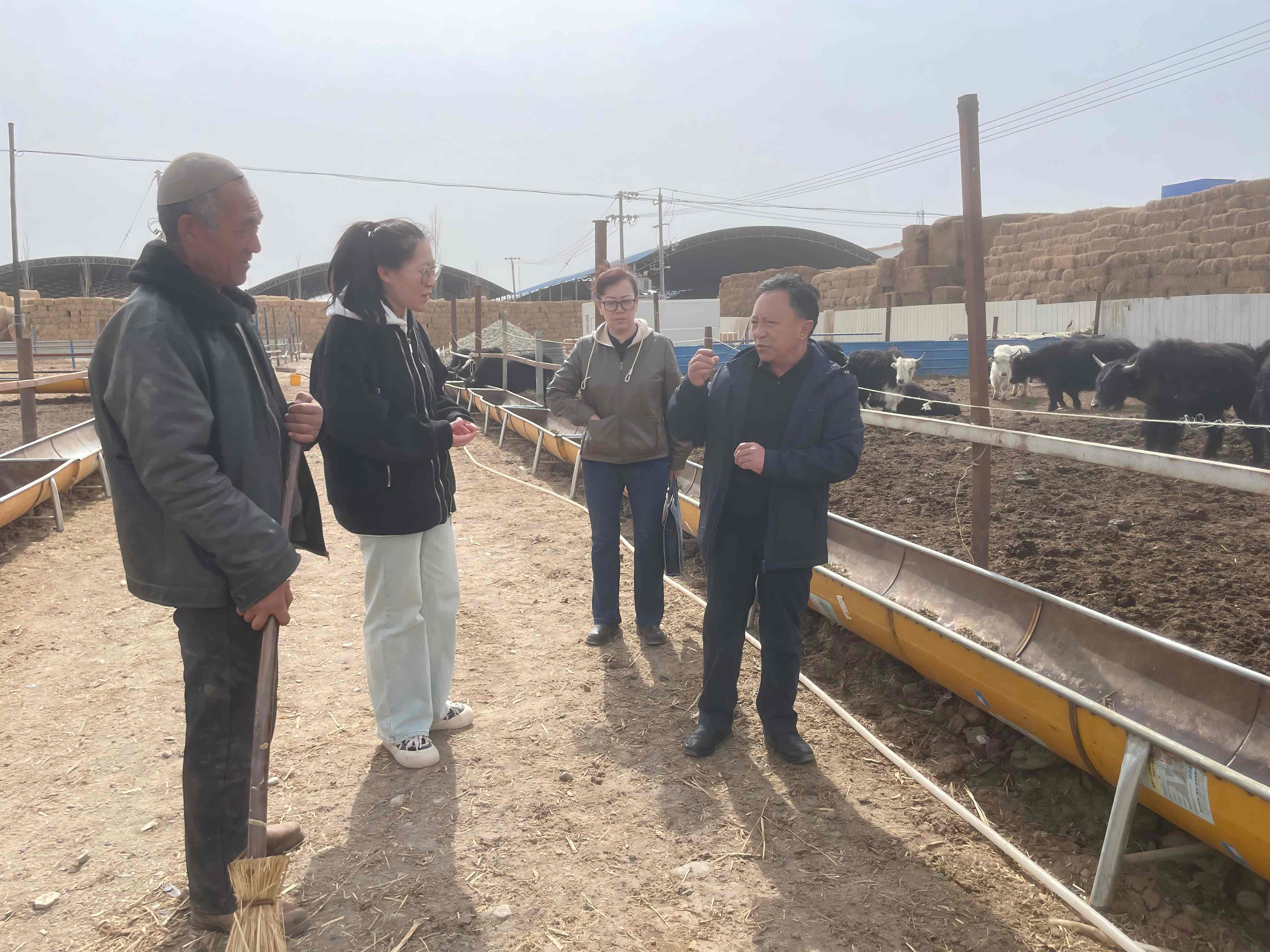 肃南县开展接羔保育与安全生产检查(1).jpg