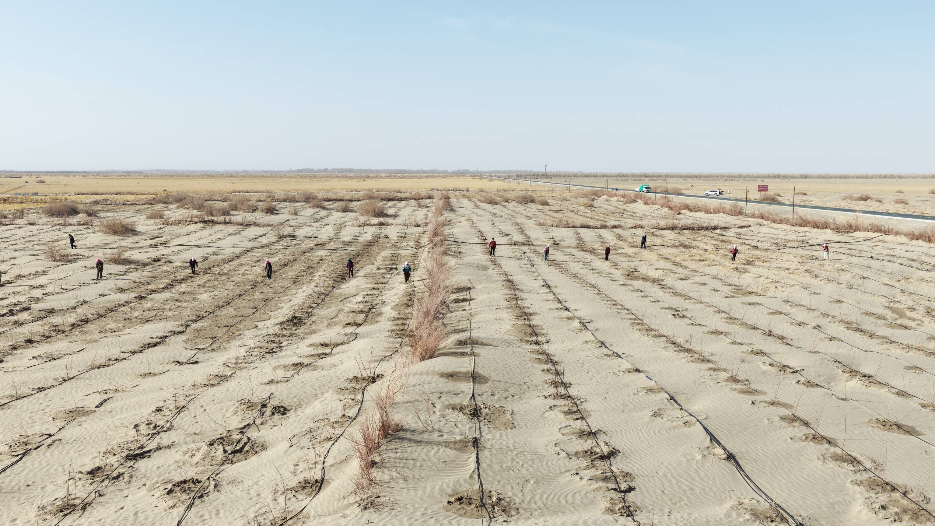 瓜州县疏勒河中下游防沙治沙林草综合治理项目二标段.jpg