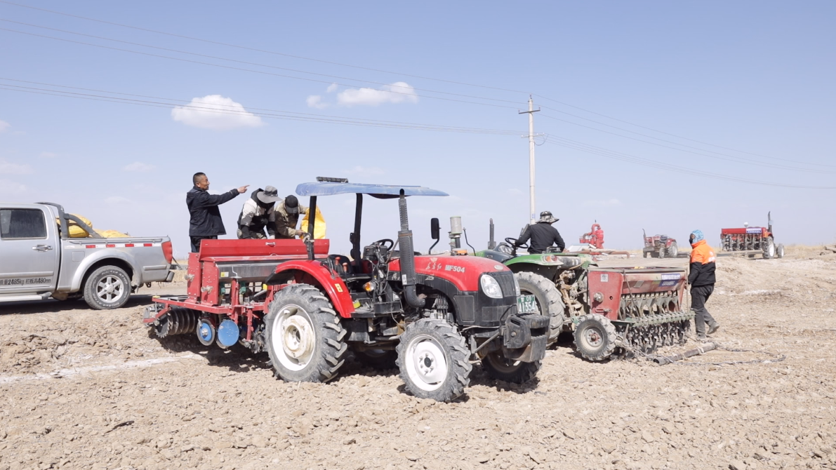 做好小麦播种前的准备工作.png