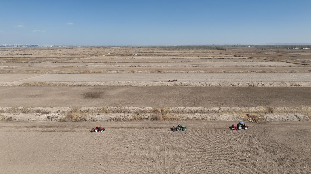 瓜州县5.47万亩小麦播种工作正有序推进.png