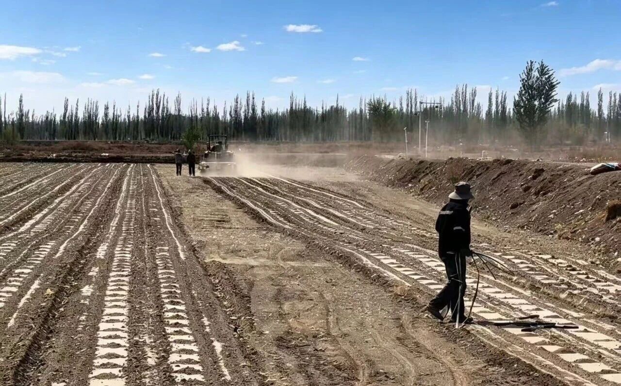 瓜州县南岔镇抢抓春耕黄金农时，全面拉开棉花春播序幕.jpg