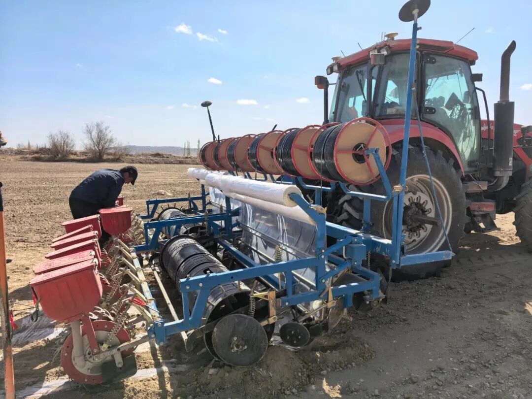 棉农们分工协作、干劲十足，紧随农机身后，仔细查看播种质量.jpg